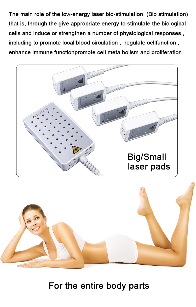 China Anti Cellulite Lipo Laser Slimming Machine For Fat Loss No Recovery Period OEM factory