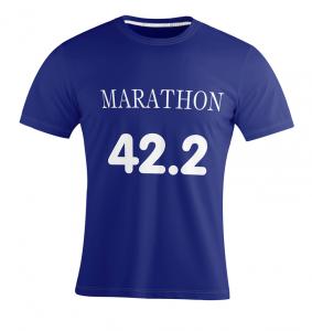China 100% Polyester Running Teamwear Marathon Running Shirts Breathable Men Short Sleeve factory