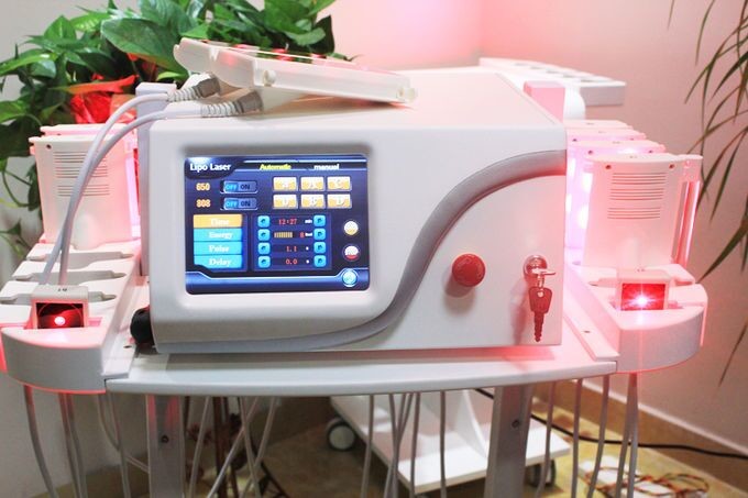 China 650nm / 980nm Dual Wave Lipo Laser Slimming Machine For Weight Loss factory