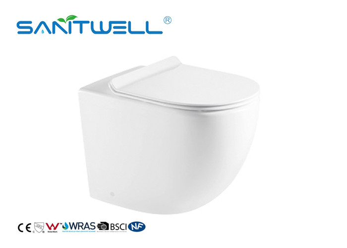 China White Ceramic Professional Free Standing Toilet With Rimless Flushing System factory
