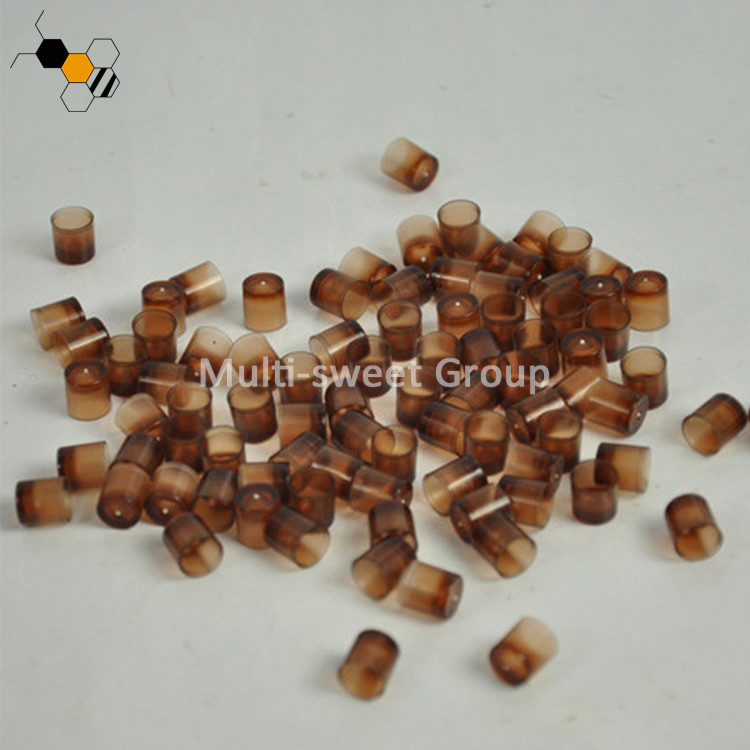 China Brown 10mm Diameter Plastic Queen Bee Cell Cups factory