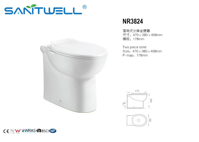 China Thin Seat Cover UF Rimless Wall Hung Wc Toilet , Eastern Europe Toilet factory