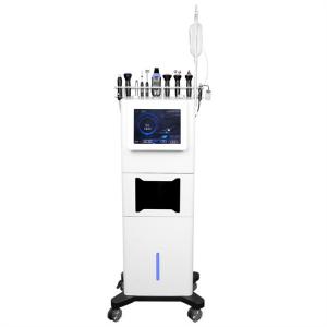 China Fine Lines And Wrinkles Salon Hydra Oxygen Facial Machine 12 In 1 factory