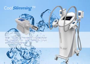 China Mobile Slim Freeze Fat Freeze Slimming Machine With 8 Inch Color Touch Screen factory