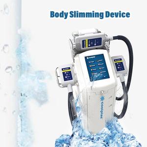 China 230VAC Cryolipolysis Slimming Machine Weight Loss wind cooling 30cm×40cm×90cm 30kg factory