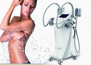 China Body Slimming Fat Freezing Machine Coolsculpting Equipment Vertical Type factory