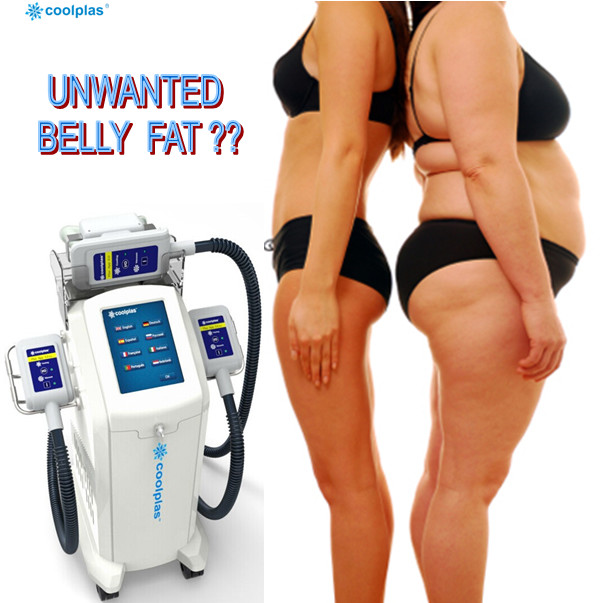 China White Blue 360 Cryolipolysis Machine Fat Freezing Weight Loss With 3 Handles factory