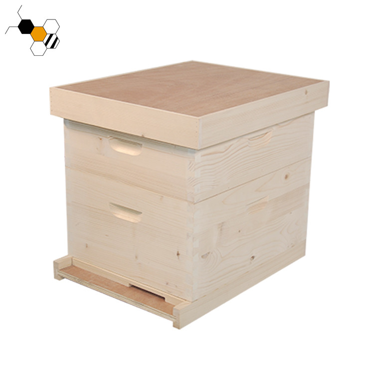 China Durable 10 Frames 20mm Thick Pine Wooden Bee Hive 2 Layers factory