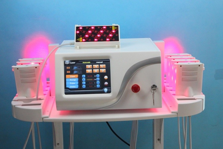 China Medical Grade Salon Aesthetic Laser Machine For Fat Removal Dual Wavelength factory