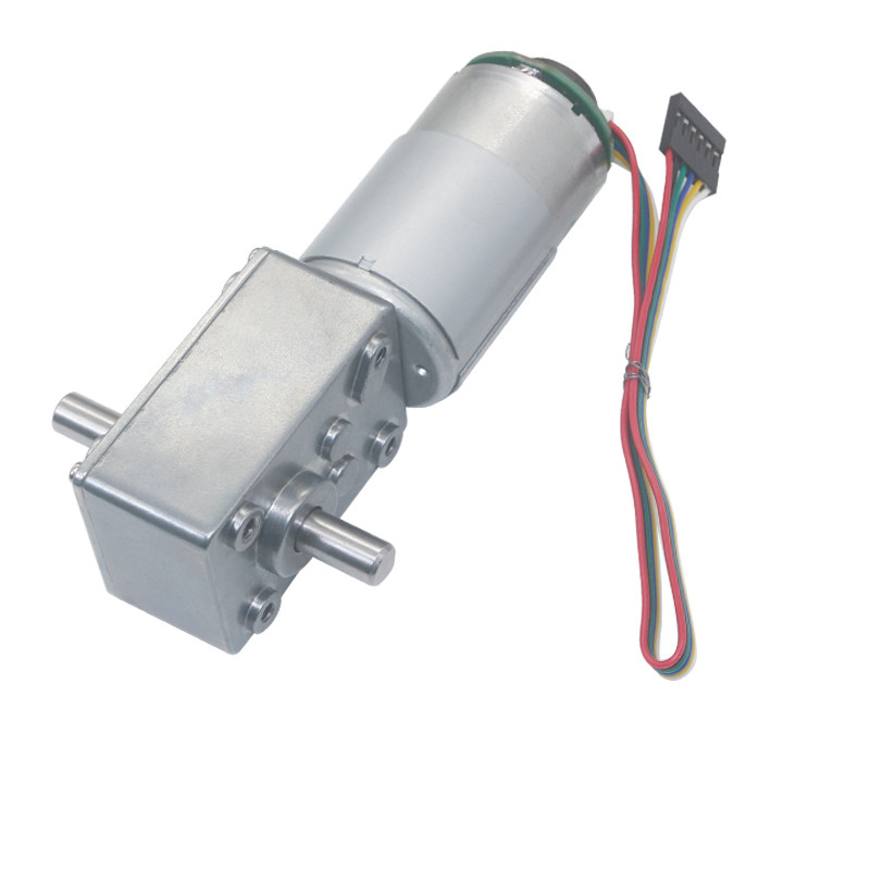 China Double Shaft 12V High Torque Worm Gear Motor With Encoder Self Locking 12rpm factory