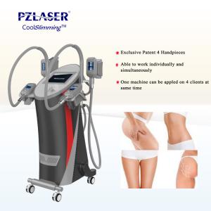 China CE Cool Tech Cryolipolysis Fat Freeze Slimming Machine For Weight Loss factory