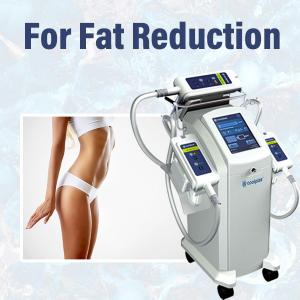 China Spa Cryolipolysis Slimming Machine 30KG Fat Freezing With 10.4 Inch Colorful Touch Screen factory