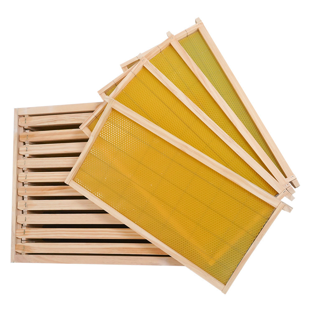 China 20mm Thickness Plastic Frame Complete Bee Hive Kit With Foundation factory