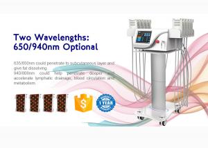 China Ce Approved 4d Lipo Laser Slimming Machine With 6/8/10/12/14/16 Pads factory