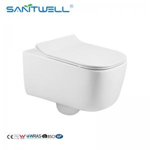 China Gravity Flushing One Piece Ceramic Rimless Wall Mounted WC factory
