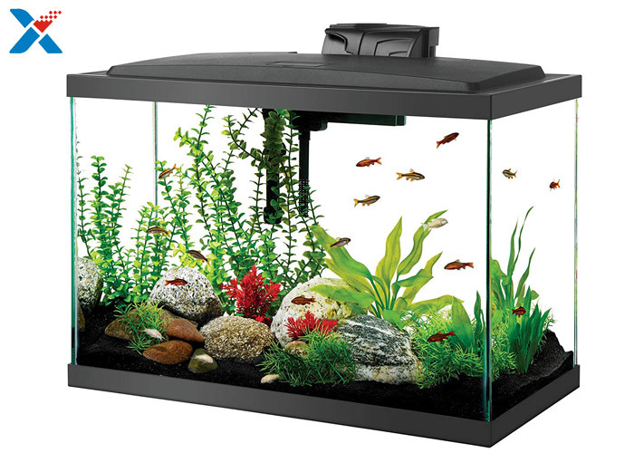 China Rectangular Large Acrylic Fish Tank / Clear Acrylic Fish Tank For Aquarium factory