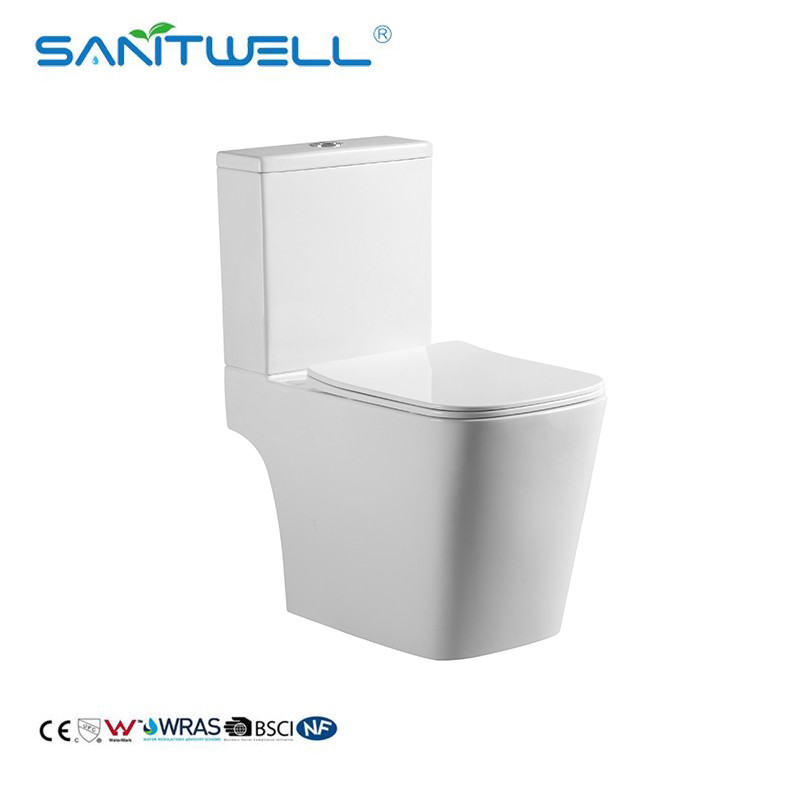 China Toilet 1 Piece Bathroom Toilet SWM9000 factory