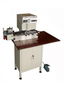China Plastic Sheet Tab Cutting Machine Min Tape Size 110x85mm Control Control factory