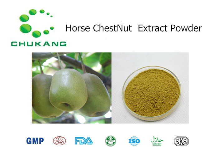 China Natural Plant Extract Powder Horse Chest Nut P.E. Horse Chest Nut Extract Natural Herb Powder factory