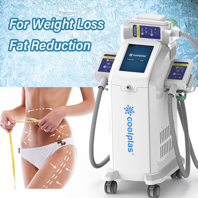 China Weight Loss Cryolipolysis Slimming Machine Fat Reduction With 3 Handles factory