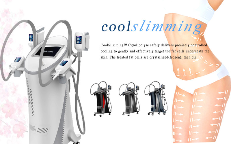 China Double Chin Removal Aesthetic Laser Machine With Four Handles Cryo Therapy factory