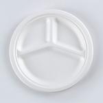 Food 3 Division Environmentally Friendly Disposable Plates , 9 Inches Compostabl