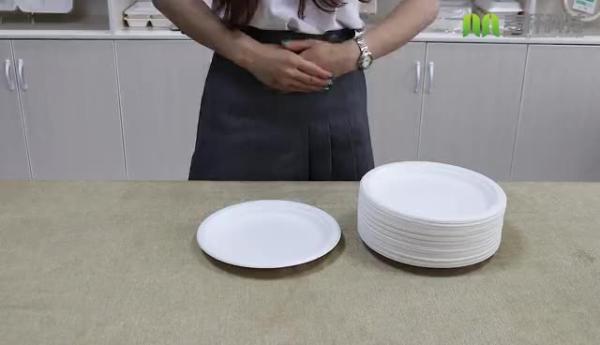 Round Disposable Plates Natural Sugarcane Bagasse Compostable Eco Friendly