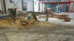 140 sunflower Peanut OIL PRESS MACHINE EXPELLER