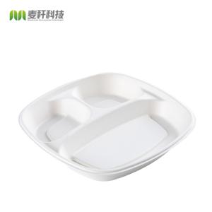 China 9&quot; In Biodegradable White 3 Section Restaurant Dinner Plate Disposable factory