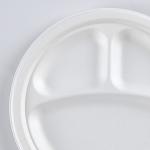 10" Round 3-Compartment natural sugarcane fiber Plate