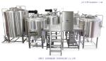 Stainless Steel 316L Small Beer Production Line Pub 1000L Beer Brewing Equipment