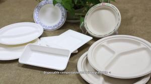 China 2022 Free Plastic Disposable Serving Trays , Biodegradable Sugarcane Bagasse Food Fruit Trays factory