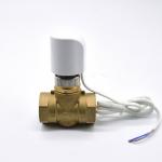 Dn15 High Precision Motorized Ball Valve Compact