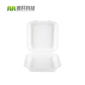 China 8&quot;*8&quot; Eco Food Packaging Clamshell Take Away Sugarcane Biodegradable Food Box factory