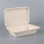 Food Packing Takeaway bagasse Pulp large dinner container box