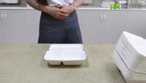 China 8&quot; heavy duty compostable microwave and refrigerator safe takeaway biodegradable food packaging factory