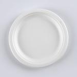 Biodegradable Snacks Sugar Steak Cane Bagasse Disposable Fast Food Plates round