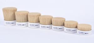 China White boiled bristles factory
