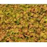 Buy cheap EPIMEDIUM LEAF EXTRACT from wholesalers