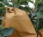 Mango Growing Paper Bag Manufacturing Machine , Fruit Protective Kraft Paper Bag