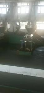 China Peanut Kernel Oil Seed Press Machine High Quality factory
