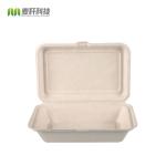 9*6" bagasse food container take away food box