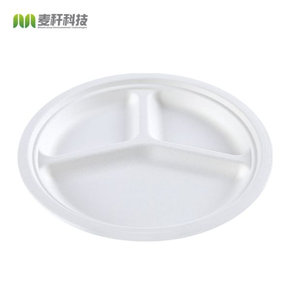 China 10" Round 3-Compartment natural sugarcane fiber Plate factory
