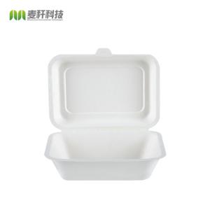 China Biodegradable sugarcane bagasse disposable compostable clamshell take away food containers lunch boxes with compartment factory