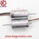 BL2847 BL2847I B2847M 12v 24v 28mm inner rotor brushless dc motor