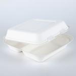 8 inches Biodegradable sugarcane bagasse 3 compartment food container box