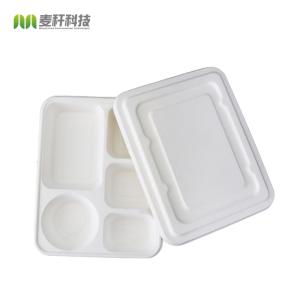 China Eco Friendly Disposable Food Trays , Restaurant Sugarcane 5 Compartment Tray factory