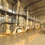 Sunflower Sesame Seeds Peanut Oil Press Machine