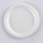 Eco-friendly Biodegradable Baggasse RoundCake Disposable Steak Round Dessert