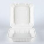 Disposable bagasse pulp food storage containers